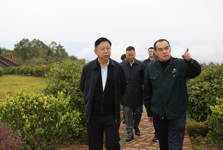 19-2021年10月，原國(guó)土資源部副部長(zhǎng)汪民蒞臨公司調(diào)研。.jpg