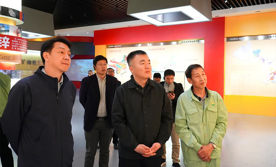10.4-2024年04月，自然資源部礦保司副司長(zhǎng)王博蒞臨公司調(diào)研。.jpg