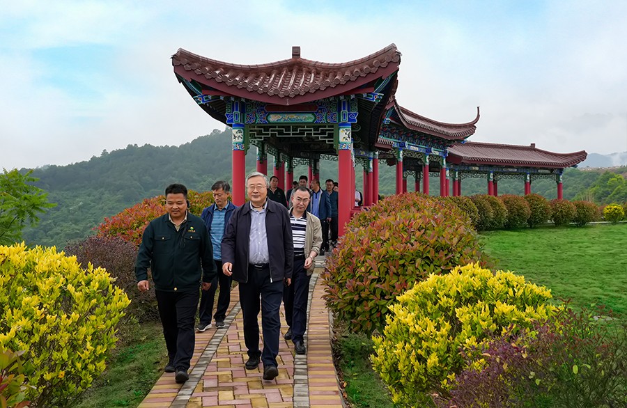 49-2022年5月，省工信廳副廳長(zhǎng)王海峰一行蒞臨金徽股份調(diào)研綠色礦山建設(shè)工作。.jpg